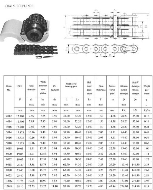 ZİNCİRLİ KAPLİNLER